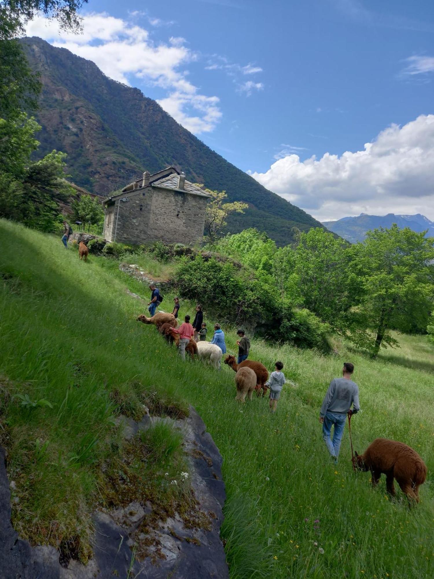 Holiday home Casa Borna Da Ghiasa *