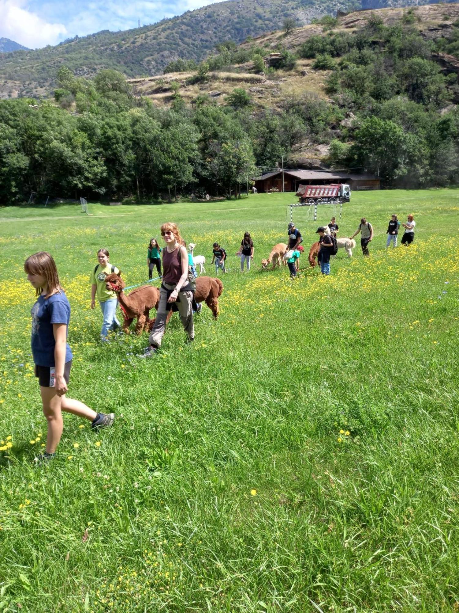 Casa vacanze Casa Borna Da Ghiasa *