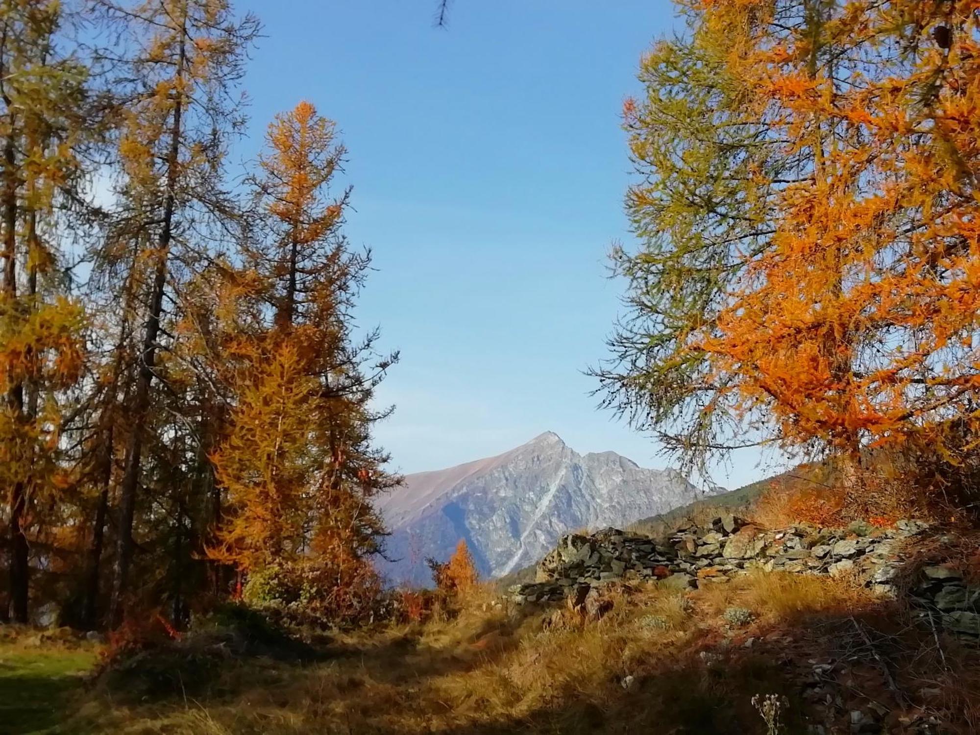 Casa Borna Da Ghiasa *